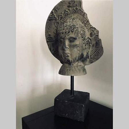 Appartement Calme Au Coeur De La Bastide St-Louis Carcassonne Eksteriør bilde